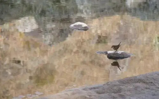 Serranias Del Tabaquillo