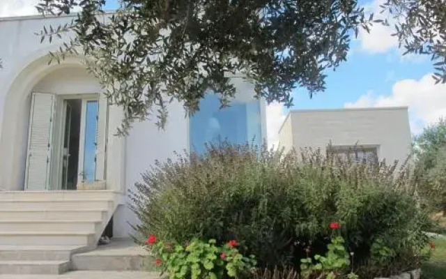 O Di Otranto