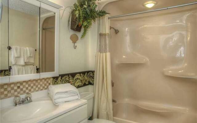 Ocean Forest 1909 - Ocean Front