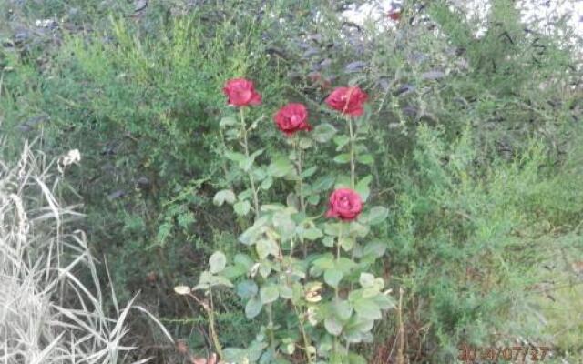 Zagroda Agroturystyczna Wiecha