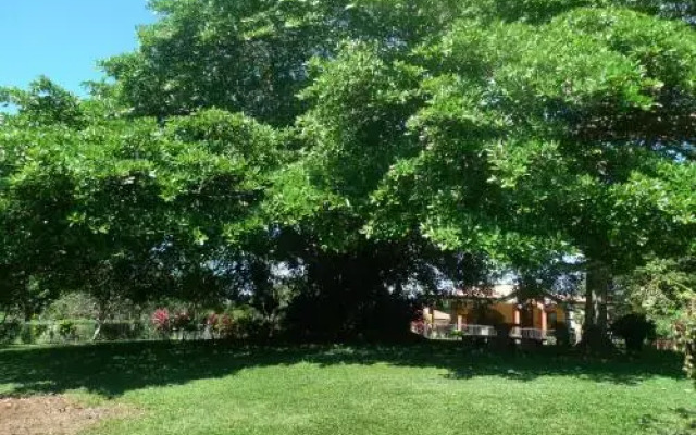 Grace's Guest House