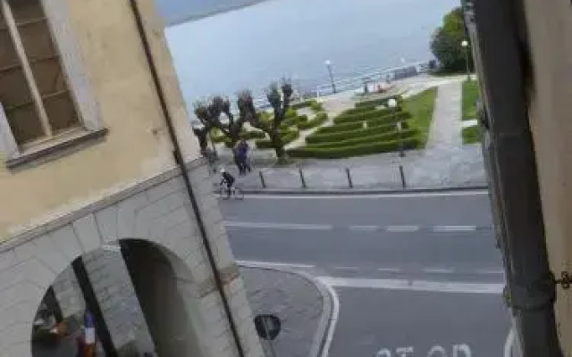 Nido del Tadini