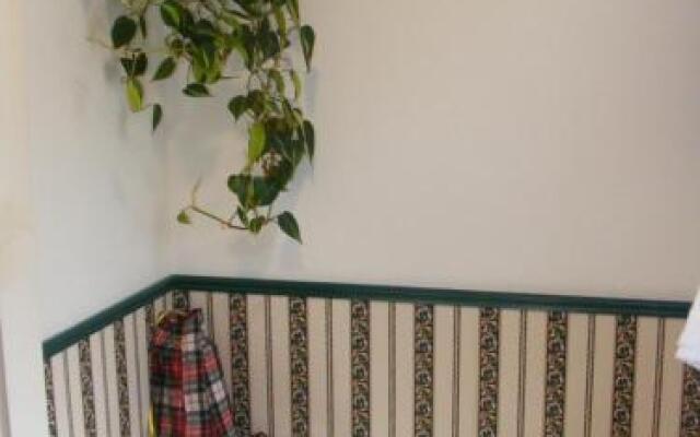 The Tartan Fox at the Meadmere