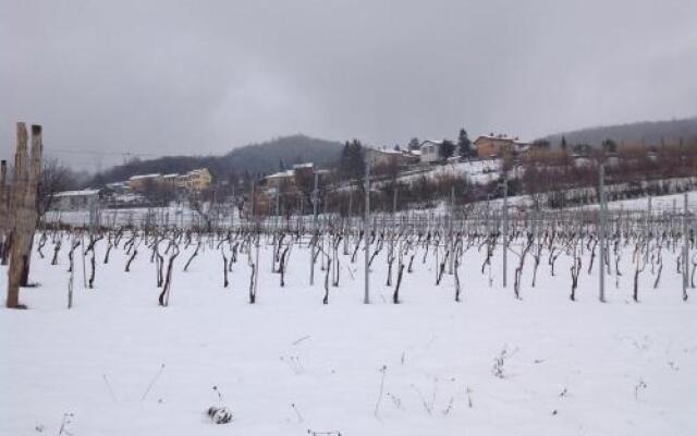 Azienda Agricola Garoglio Davide