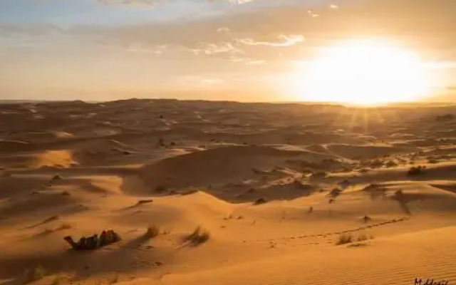 Desert Luxury Camp