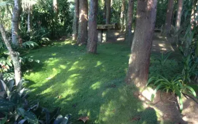 Quinta de Santana - Queimadas