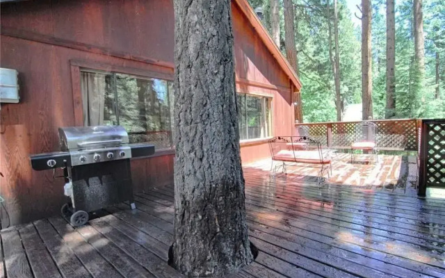 The Bernstein Bear Cabin - 2 Br Cabin