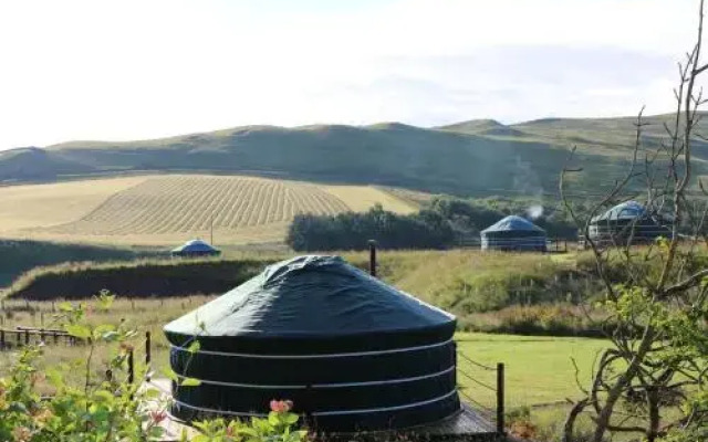 Ettrick Valley Yurts