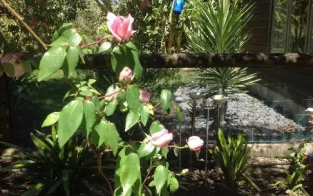 La Frontiere Boutique Accommodation