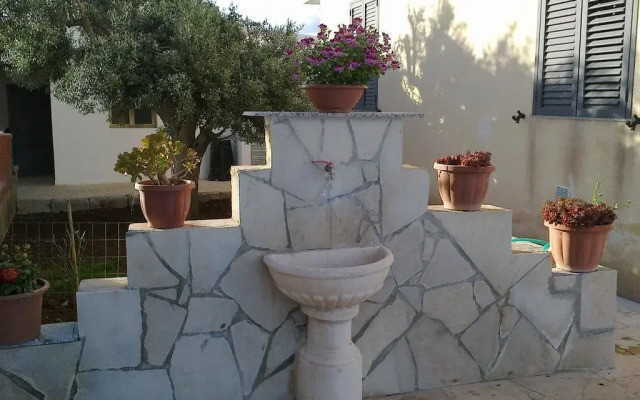 L'Ulivo di Lu