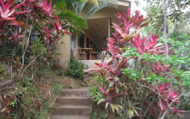 Club Fred Hotel Costa Rica