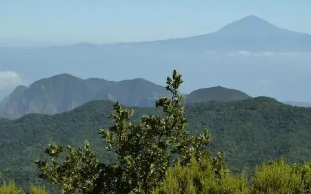 La Cuadra