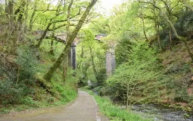 Dolgoch Falls