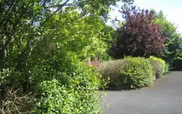 Bunratty Grove Bed and Breakfast