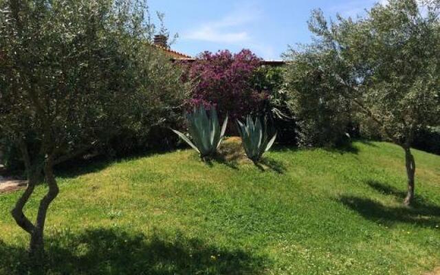 Agriturismo Campesi