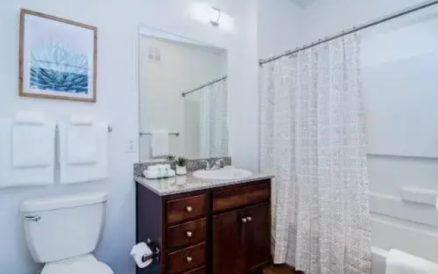 Amazing New 2Bdrm/2Bath Apt Downtown
