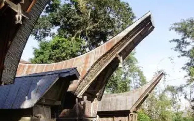 Tongkonan Layuk Lion