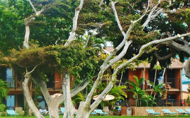 Kapulanikai Vacation Suites