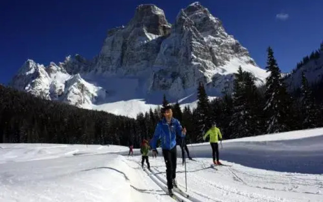 Centro Thule - Genziana