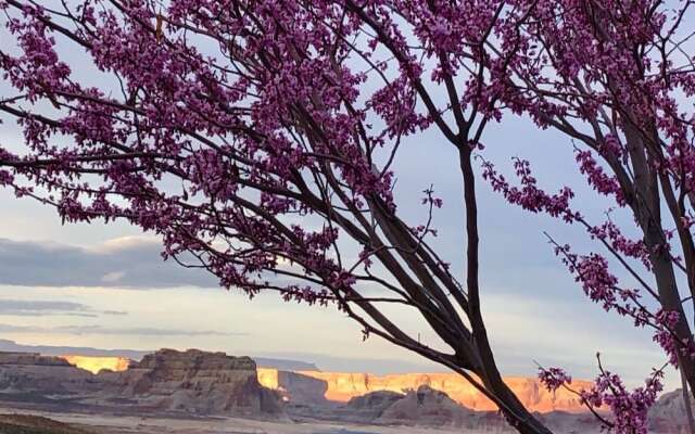 Lake Powell Dream Vacation