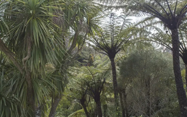 Rustic Retreat at Ruskin