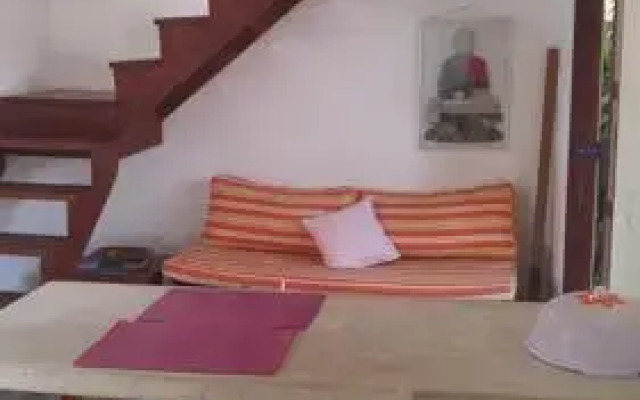 Holi Pipa