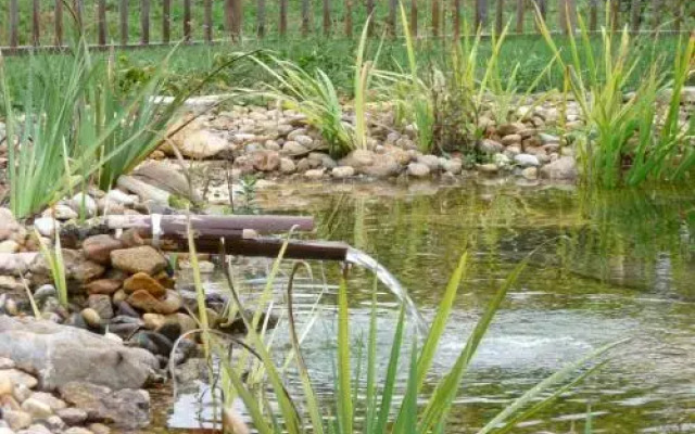 Domaine de Fonroques - Roulottes