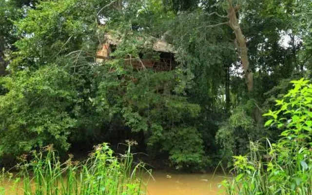Kumbuk Tree House