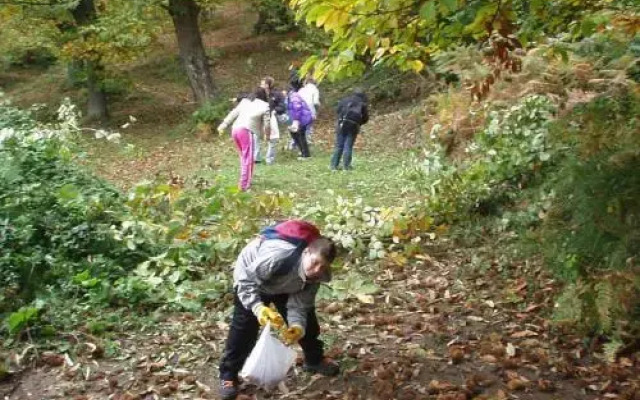 Agriturismo Il Castagneto