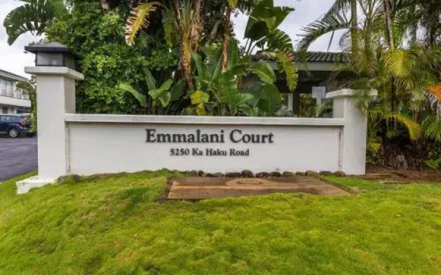 Emmalani Court 411