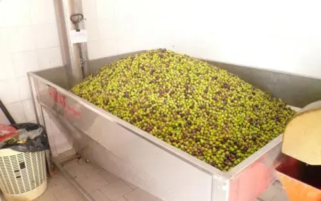 B&B Porchiano del Monte