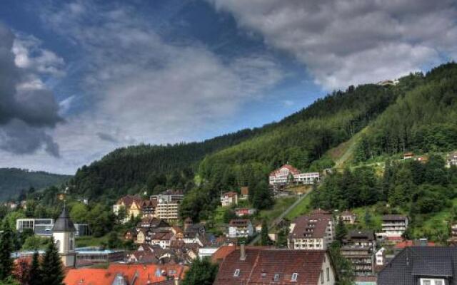 Aparthotel Schwarzwald Panorama