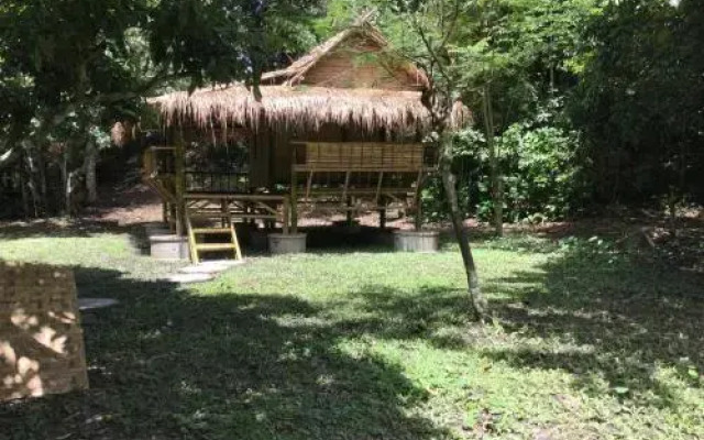 Cool Bananas Homestay