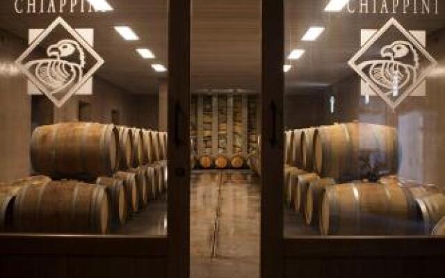 Agriturismo Tra Gli Ulivi