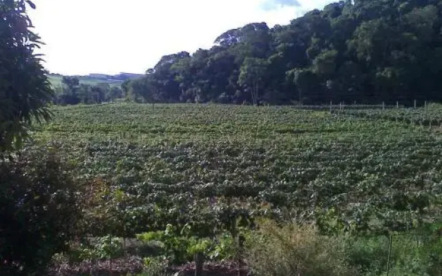 Pousada, Pesqueiro e Adega Pauletto