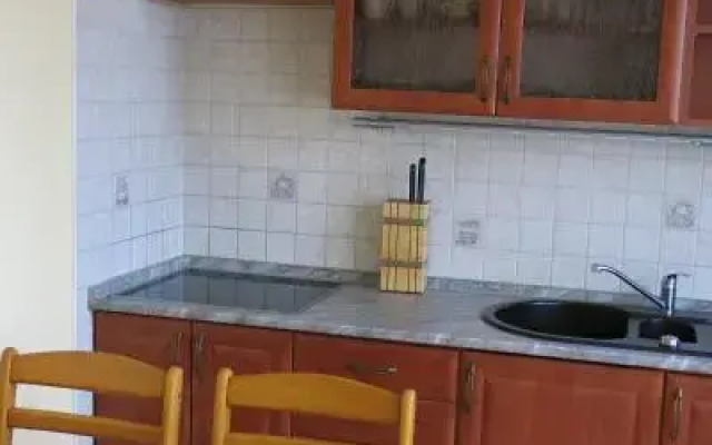 Aparmán Srní 121