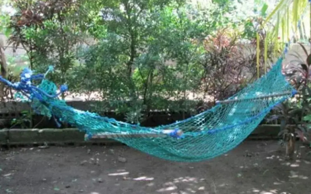 Papaya Homestay
