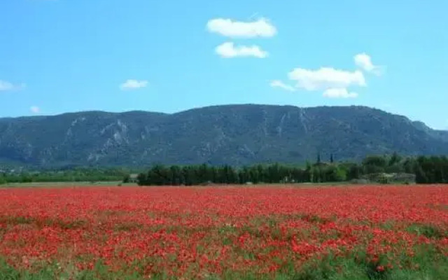 La Bastide des Jonquets