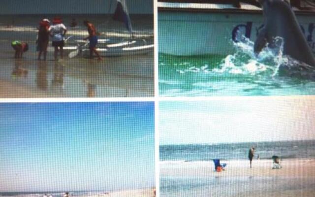 Seapines 600 Wildwood SPA Villas