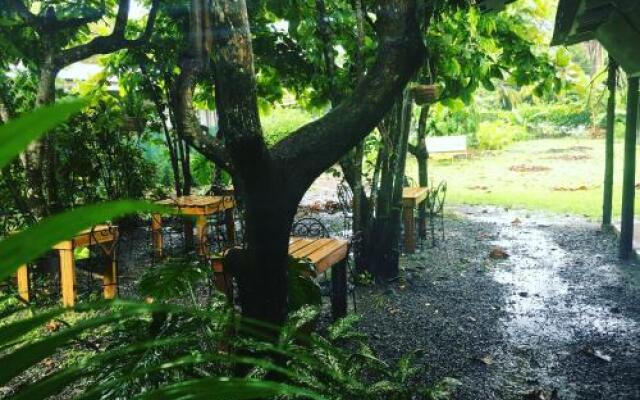 Bajo el Arbol B&B