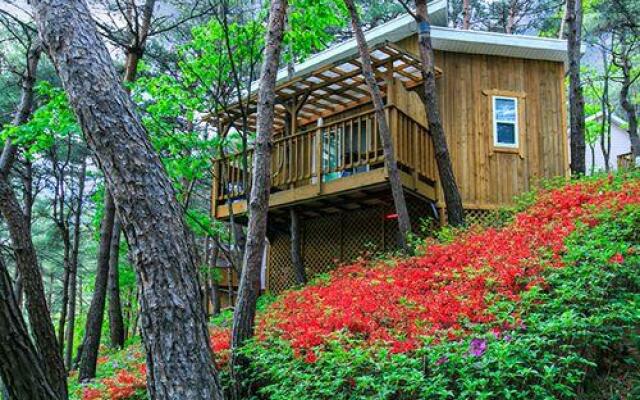 Hoengseong Forest Lover's Star Pension