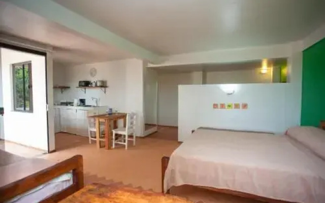 Beija- flor Lençóis