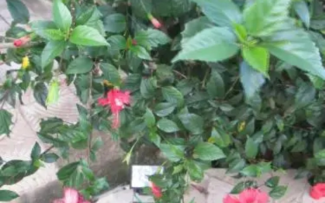 Pousada As Relíquias de Minas