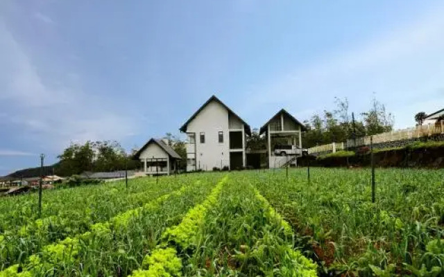 Nuwara Eliya The Fern Cove