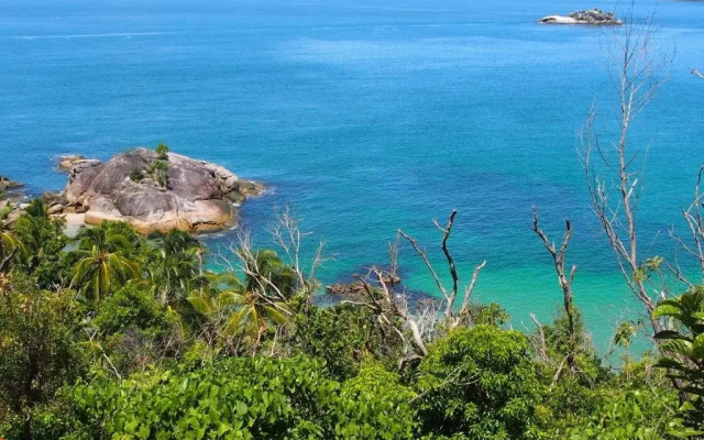 Bedarra Island Treetop Hideaway