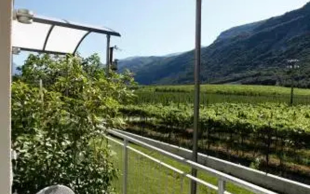Appartamenti Al Vigneto