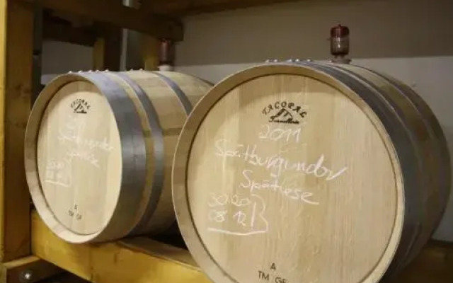 Schwarzer Adler Weingut