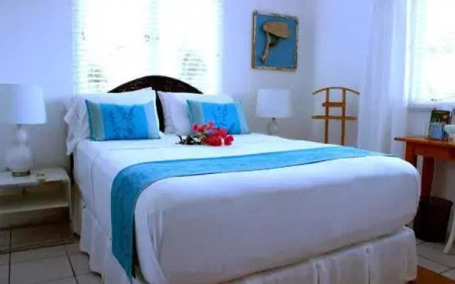 Bon Bini Studio