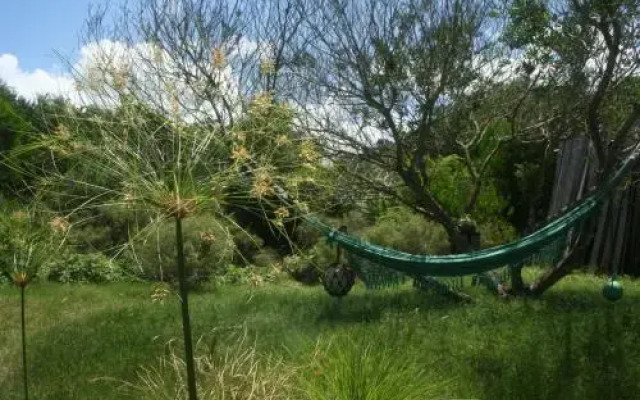 El Armario Azul