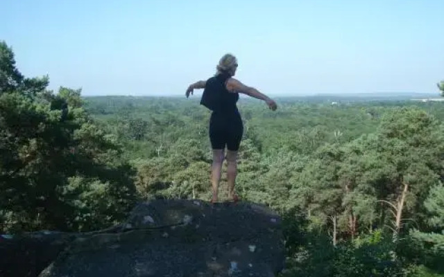 Les Prémices De La Forêt